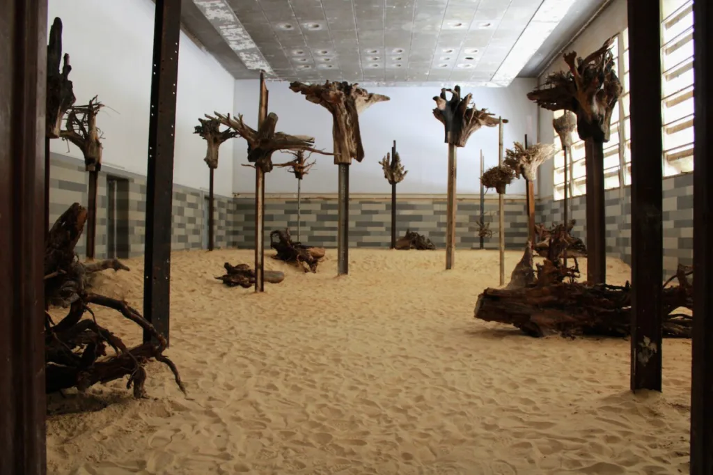 Installation View at the 14th Dakar Biennale, 2022