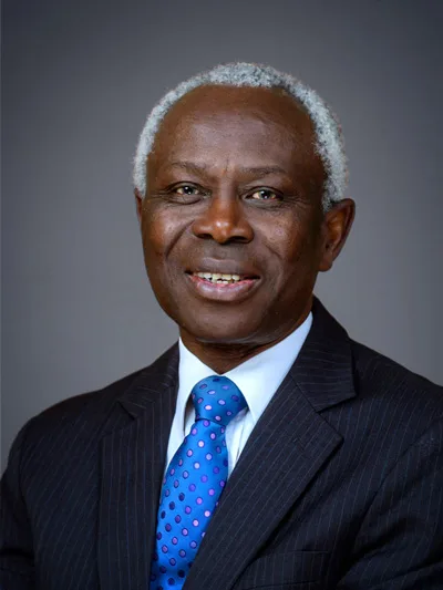 Adedotun Sulaiman (Image credit: Parthian)